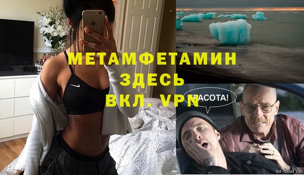 прущие грибы Зеленокумск