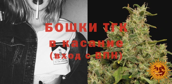 прущие грибы Зеленокумск