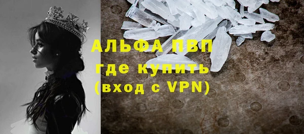 прущие грибы Зеленокумск