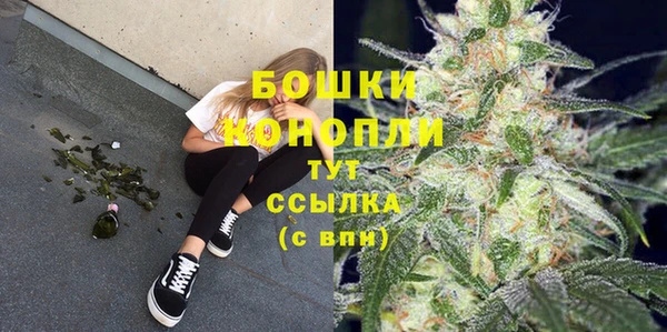 прущие грибы Зеленокумск