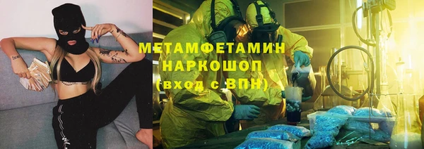 прущие грибы Зеленокумск