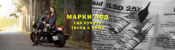 прущие грибы Зеленокумск