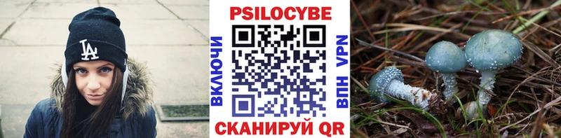 Купить где  Гаджиево  Псилоцибиновые грибы MAGIC MUSHROOMS 